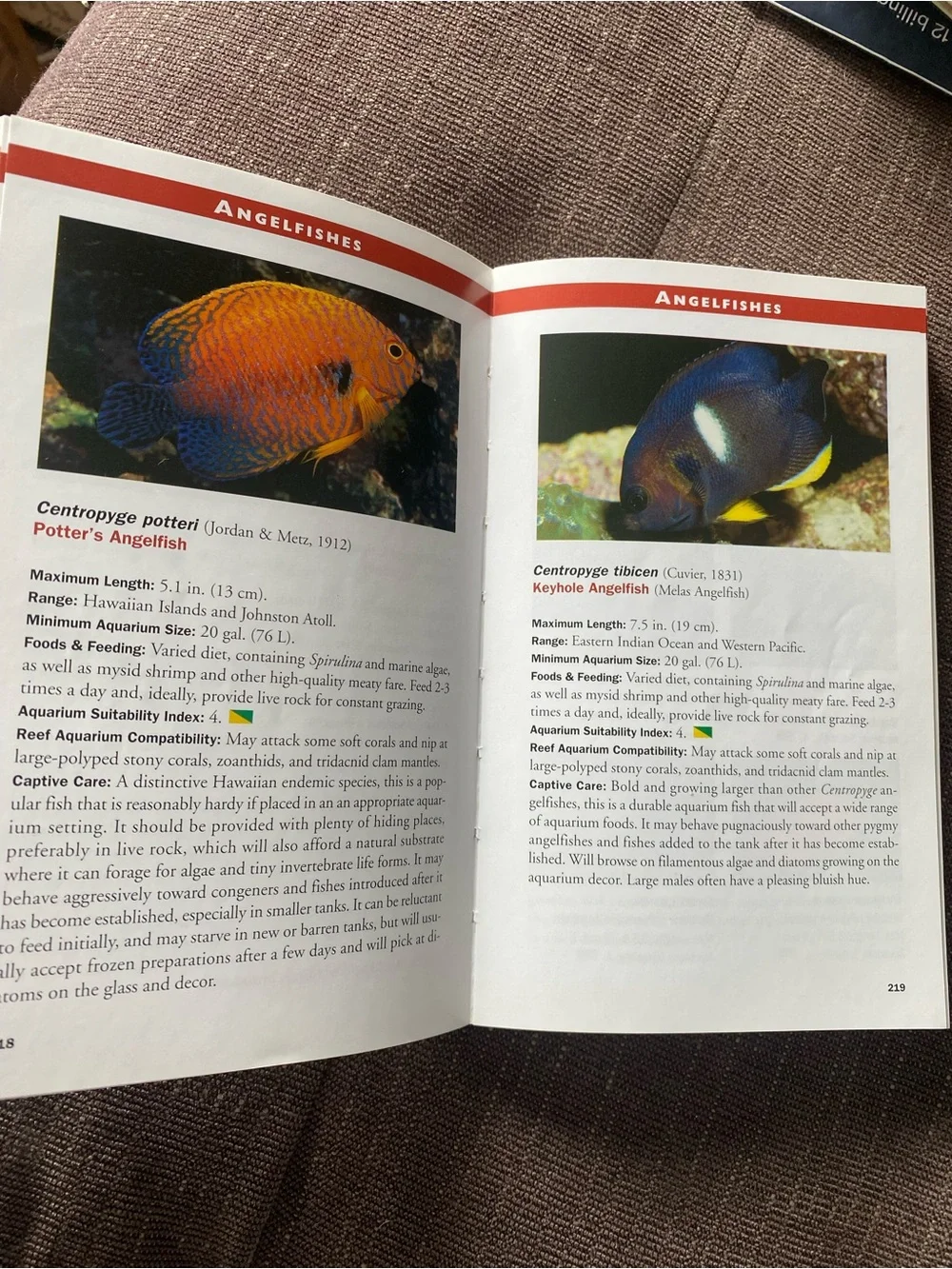 Marine Fishes by Scott W. Michael